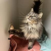 Photo of Pamela