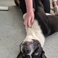 Photo of Kenny! 🤍🖤