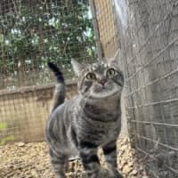 Photo of Monty