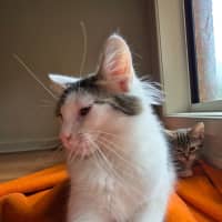 Photo of Dotty