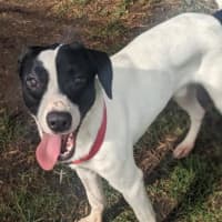 Photo of Aston Martin