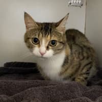 Photo of Hazel