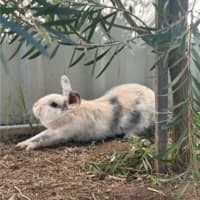 Photo of Dorothy