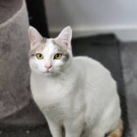 Photo of Bonnie   Located In Avondale Heights