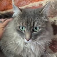 Photo of Nibbles