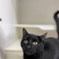 Photo of 👒 Salena 5556 👒