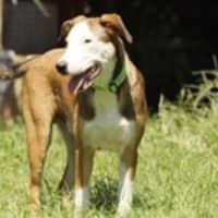 Photo of Turbo