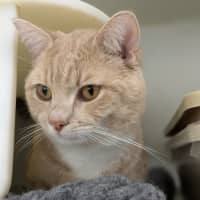 Photo of 🥞 Rupert 5644 🥞