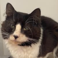 Photo of Jimmy Boy 