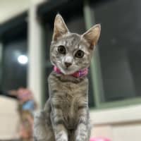 Photo of Penny