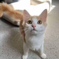 Photo of Ravioli