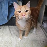 Photo of Grandpa George And Grandpa Joe