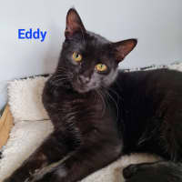 Photo of Eddy