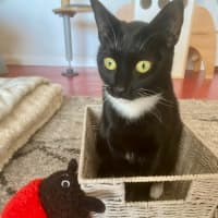 Photo of Luna Sanderson