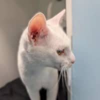 Photo of Mr Snow