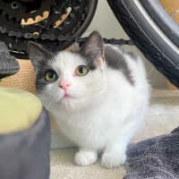 Photo of Dolly