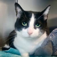 Photo of Mitzi