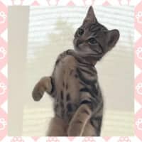 Photo of Bonnie