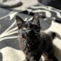 Photo of Nox   Located In Lower Plenty