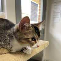 Photo of 🍤 Finkle 5898 🍤