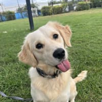 Photo of Bentley
