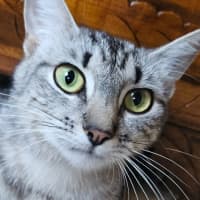 Photo of Tabitha