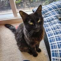 Photo of Jasmine