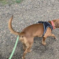 Photo of Daisy