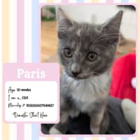 Photo of Paris