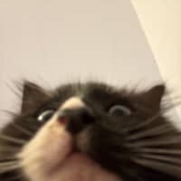 Photo of Fluoxetine Aka Flux