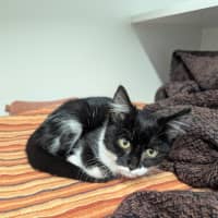 Photo of Penelope