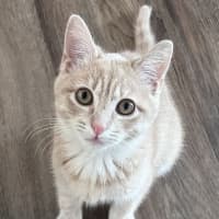 Photo of Max