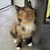 Photo of Bellatrix