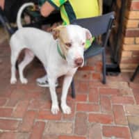 Photo of Mackalicious