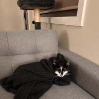 Photo of Sam Sam