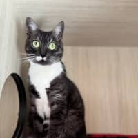 Photo of C1534 Stormi