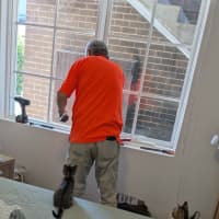 Photo of Bertie & Bolt 