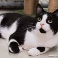 Photo of Jasper Picton