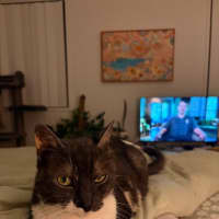Photo of Maggie