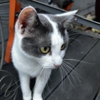 Photo of George