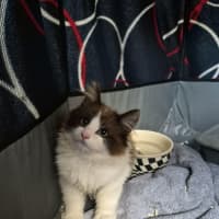 Photo of Luca