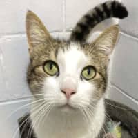 Photo of Mable