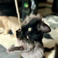 Photo of Lumos   Located In Lower Plenty