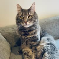 Photo of George 