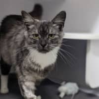 Photo of Sabrina