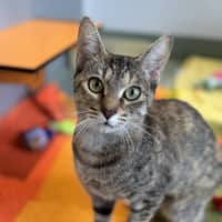 Photo of Lily
