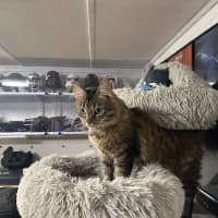 Photo of Meg