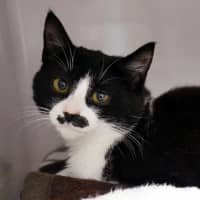 Photo of Blair Sta013121