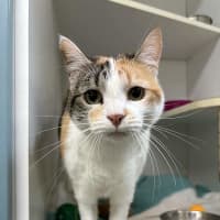 Photo of Fifi