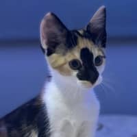 Photo of Miriam
